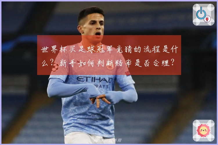 世界杯买足球冠军竞猜的流程是什么？新手如何判断赔率是否合理？