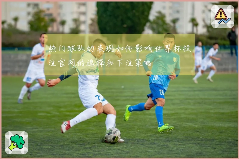 热门球队的表现如何影响世界杯投注官网的选择和下注策略
