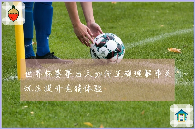 世界杯赛事当天如何正确理解串关玩法提升竞猜体验
