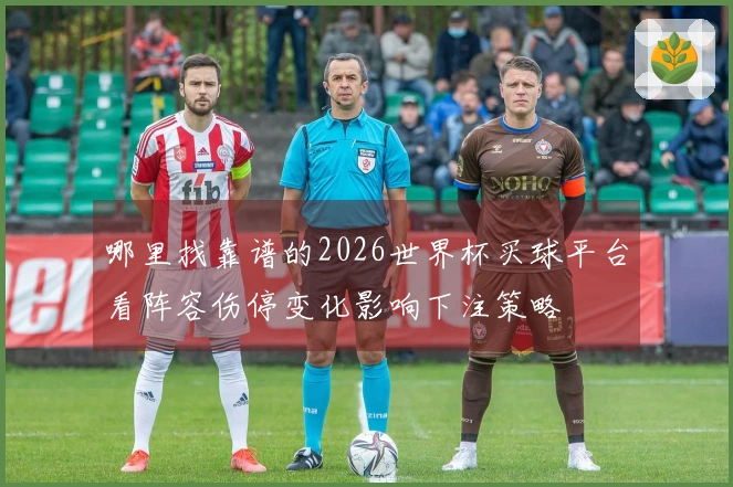 哪里找靠谱的2026世界杯买球平台看阵容伤停变化影响下注策略