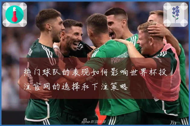 热门球队的表现如何影响世界杯投注官网的选择和下注策略