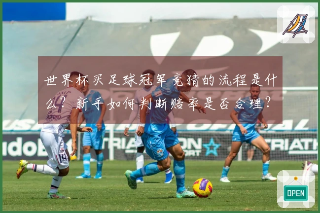世界杯买足球冠军竞猜的流程是什么？新手如何判断赔率是否合理？