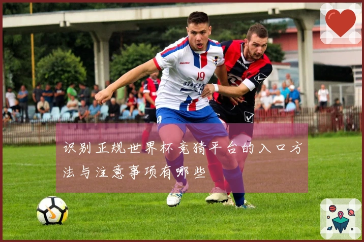 识别正规世界杯竞猜平台的入口方法与注意事项有哪些