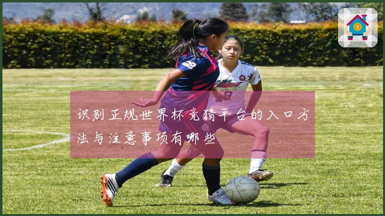 识别正规世界杯竞猜平台的入口方法与注意事项有哪些