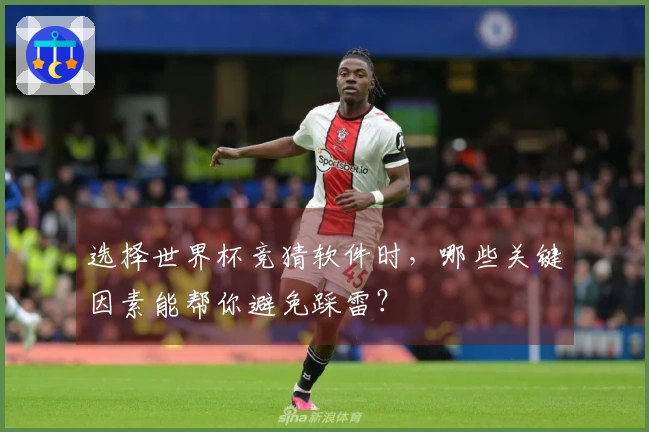 选择世界杯竞猜软件时，哪些关键因素能帮你避免踩雷？